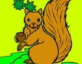 Dibuix Esquirol pintat per Ari