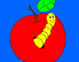 Dibuix Poma amb cuc pintat per emma