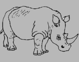 Dibuix Rinoceront pintat per roger rubio