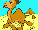 Dibuix Camell pintat per Biel i Berta