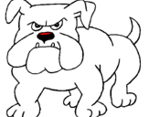 Dibuix Gos bulldog pintat per ester