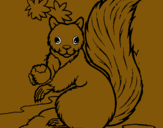 Dibuix Esquirol pintat per laia