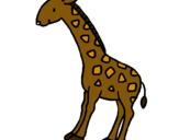 Dibuix Girafa pintat per girafa 2