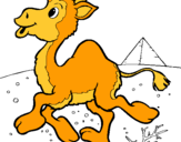Dibuix Camell pintat per julia