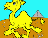 Dibuix Camell pintat per txell duran