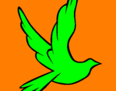 Dibuix Colom de la pau al vol  pintat per PALLASSA