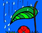 Dibuix Marieta de set punts protegida de la pluja  pintat per Júlia