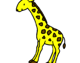 Dibuix Girafa pintat per ALBA