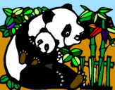 Dibuix Mare Panda pintat per anònim