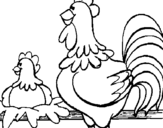 Dibuix Gall i gallina pintat per maite
