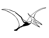 Dibuix Pterodàctil pintat per ADRIÀ RAFECAS