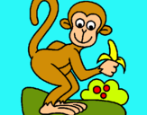 Dibuix Mono pintat per clàudina