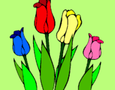 Dibuix Tulipes pintat per Angelika