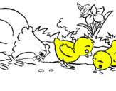 Dibuix Gallina i pollets pintat per Nil
