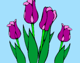 Dibuix Tulipes pintat per esther