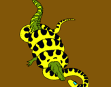 Dibuix Anaconda i caiman pintat per ale