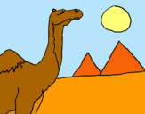 Dibuix Camell pintat per amandeep