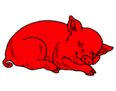 Dibuix Porc dormint pintat per emili