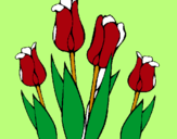 Dibuix Tulipes pintat per roger