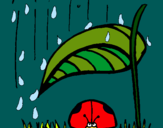 Dibuix Marieta de set punts protegida de la pluja  pintat per marieta