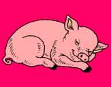 Dibuix Porc dormint pintat per  lorena  p