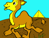 Dibuix Camell pintat per erre