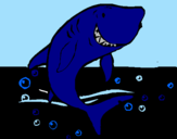 Dibuix Tiburón pintat per nuria