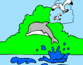 Dibuix Dofí i gavina pintat per alba