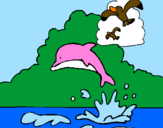 Dibuix Dofí i gavina pintat per maria  garcia