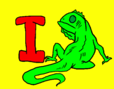 Dibuix Iguana pintat per ismael