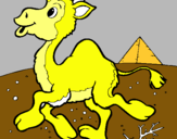 Dibuix Camell pintat per txell duran