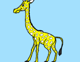 Dibuix Girafa pintat per manolo