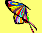 Dibuix Papallona amb grans ales  pintat per anna gc