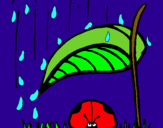 Dibuix Marieta de set punts protegida de la pluja  pintat per AINA