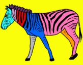 Dibuix Zebra pintat per anònim