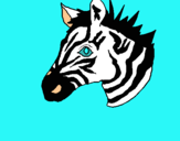 Dibuix Zebra II pintat per serp