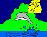 Dibuix Dofí i gavina pintat per mar    urrutiahernandezzz