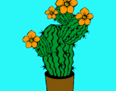 Dibuix Flors de cactus pintat per Júlia  sanchez