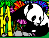 Dibuix Ós Panda i Bambú pintat per imma