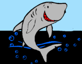 Dibuix Tiburón pintat per julia