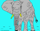 Dibuix Elefant pintat per ivan