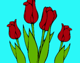 Dibuix Tulipes pintat per  * MARIA *