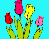 Dibuix Tulipes pintat per AINA