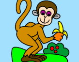 Dibuix Mono pintat per aran  i  jana