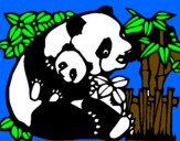 Dibuix Mare Panda pintat per alba tinc7anñs