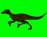 Dibuix Velociraptor  pintat per cristina