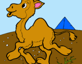 Dibuix Camell pintat per marçal