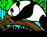 Dibuix Ós panda menjant pintat per esteban
