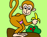 Dibuix Mono pintat per soukayna
