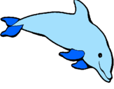 Dibuix Dofí content pintat per M.ANT